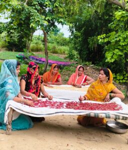 WhatsApp Image 2025-09-10 at 21.23.17_d9feef27